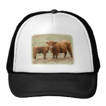 Highland Cow and calf 9Y316D-045 Hat