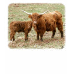 Highland Cow and calf 9Y316D-045 t-shirts