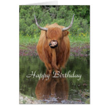 Highland cow birthday card