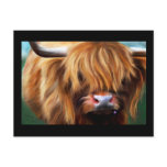 Highland Cow Painting postcards