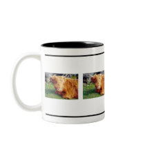 Highland Cow Photo Coffee Mug