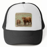 Highland Cow with calf 9Y316D-048 hats