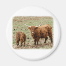 Highland Cow with calf 9Y316D-048 Refrigerator Magnet