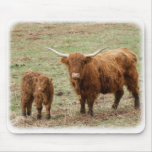 Highland Cow with calf 9Y316D-048 mousepads
