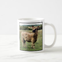 Highland dog mug