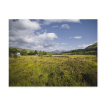 Highland Landscape Postcard