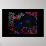 highlighted flower poster