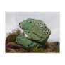 Highway 89 Frog Rock Postcard