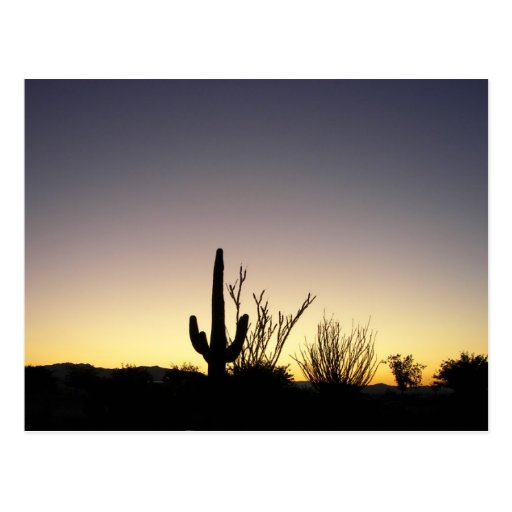 Highway 89 Sunrise Postcard
