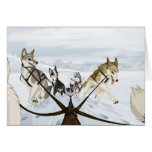 Hike cards