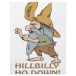 HillBilly Ho Down flyers