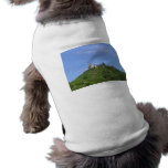 Hilltop Castle Ruins Pet Clothing