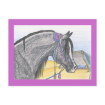 "Hilw bint Umm Ard" Postcard