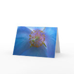 Himalayan Blue Poppy Card