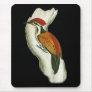 Himalayan Flameback Mousepad