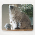 Himalayan Persian Cat Mouse Pad