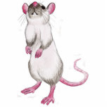 Himalayan rat sculpture photo sculpture