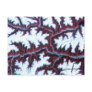 Himalayas China Satellite Image POSTCARDS
