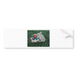 HIP HOP BUNNY v.1 bumper stickers