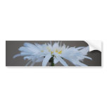 Hippie daisy and meaning bumper stickers