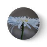 Hippie daisy and meaning buttons