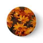 Hippie daisy flower symbolism buttons