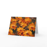 Hippie daisy flower symbolism cards