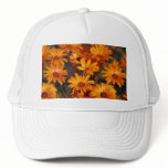 Hippie daisy flower symbolism hats