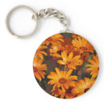 Hippie daisy flower symbolism keychains