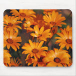 Hippie daisy flower symbolism mousepads