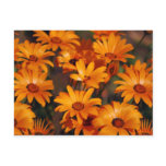 Hippie daisy flower symbolism postcards