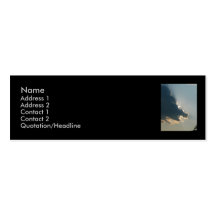 Hippo Cloud Business Card