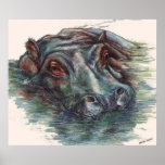 Hippo Painting Hippopotamus Portrait Print