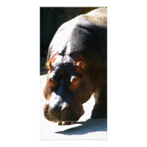 Hippo Photo Card Template