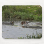 Hippo Pond  -Mousepad