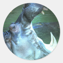 Hippo Sticker