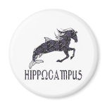 Hippocampus magnets