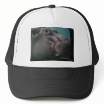 Hippopotamus Abstract #3 Hats