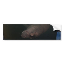 Hippopotamus Abstract #4 Bumper Stickers