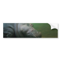 Hippopotamus Abstract Bumper Stickers