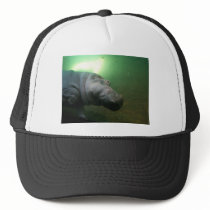 Hippopotamus Abstract Hat
