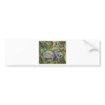 hippopotamus bumper stickers