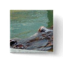 Hippopotamus Pinback Buttons