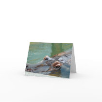 Hippopotamus Greeting Card