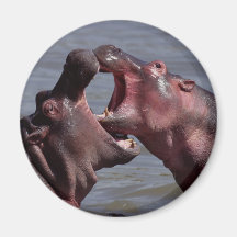 hippopotamus fridge magnet