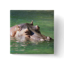 Hippopotamus Swimming On The Surface Pin