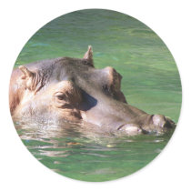 Hippopotamus Swimming On The Surface Round Sticker