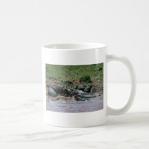 Hippos - In River Coffee Mugs