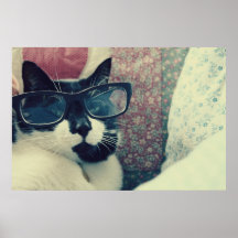 hipster cat poster