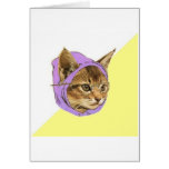Hipster Kitty Cat Advice Animal Meme Card